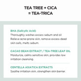 فوم شستشوی لایه بردار ضد جوش تی تریکا سنتلا اسکین 1004 SKIN1004 Centella Tea-Trica Bha Foam