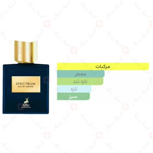 عطر ادکلن روژا الیزیوم الحمبرا اسپکتروم Alhambra Spectrum حجم100میل